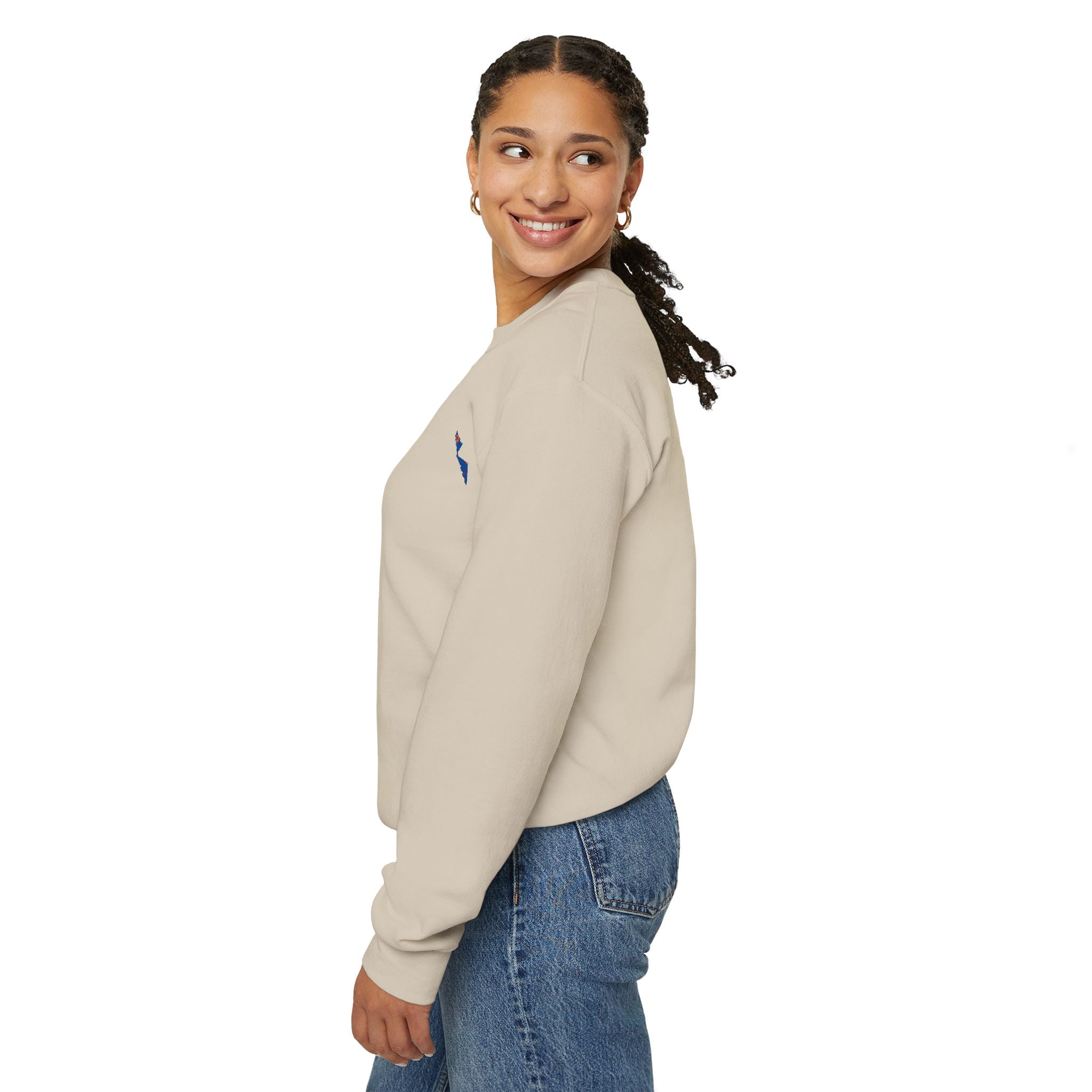 Persian Pattern Graphic Sweatshirt